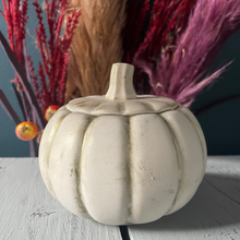 Load image into Gallery viewer, Distressed Pumpkin Pot