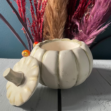 Load image into Gallery viewer, Distressed Pumpkin Pot