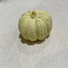 Load image into Gallery viewer, Small Pumpkins
